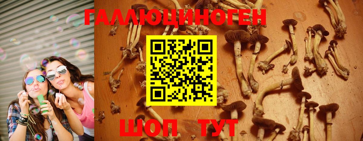 Псилоцибиновые грибы GOLDEN TEACHER  Вход с VPN  где продают наркотики  Балабаново  Галлюциногенные грибы GOLDEN TEACHER 