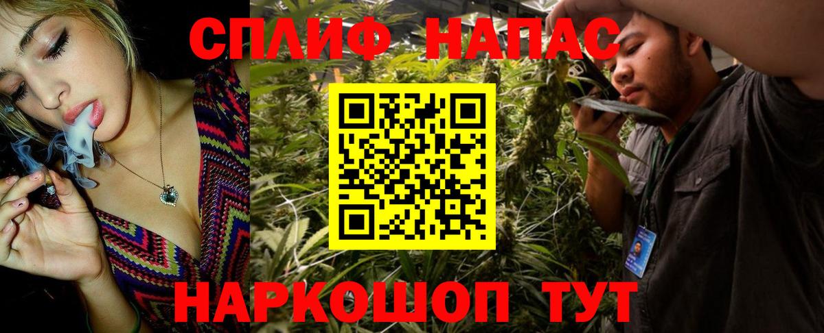 Бошки Шишки сатива Балабаново